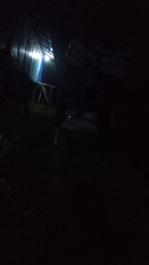 kotoran ayam pedaging