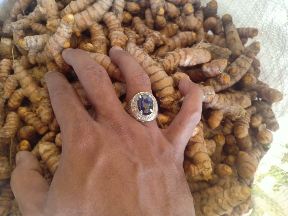 Kunyit Kunir / Kunir Grade A B Fresh