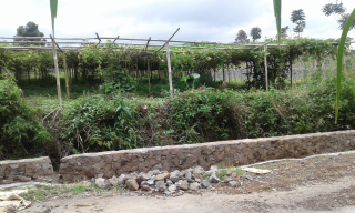 Jual Tanah Kebun