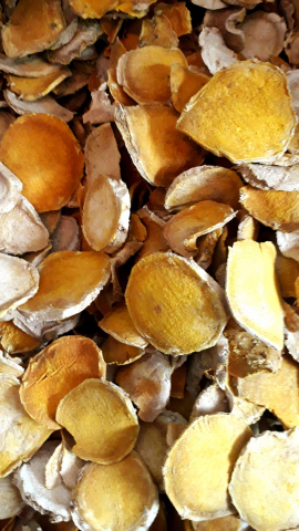 temulawak