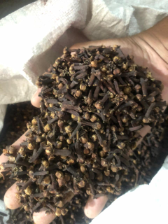 rempah rempah