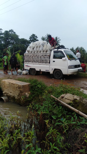 ikan mas