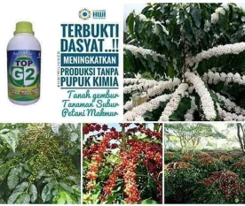 pupuk TOP G2 500cc