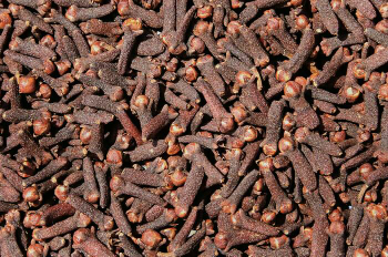 Jual Cengkeh Kering