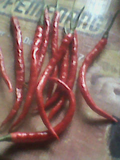 cabe kriting super