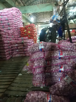 Bawang Putih honan