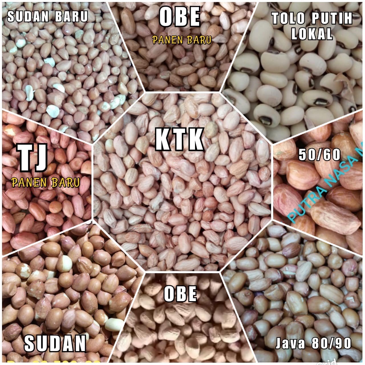 Kacang Tanah Berkualitas
