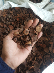 Pinang belah super kering