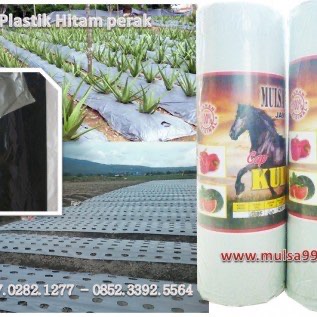  Plastik Mulsa hitam perak merk KUDA Berkualitas 