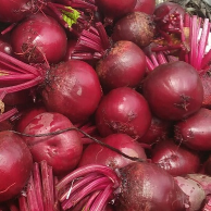 buah bit