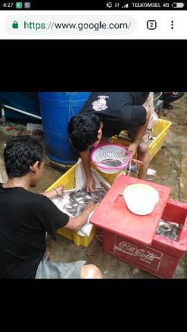 daging konsumsi lele19000/kg 6-7-8-9-10 biar enak wa 