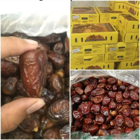 kurma golden valley