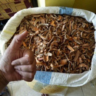 KUNYIT PREMIUM