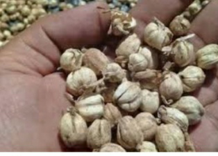 Rempah