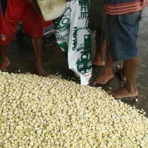 JUAL KEMIRI KUPAS