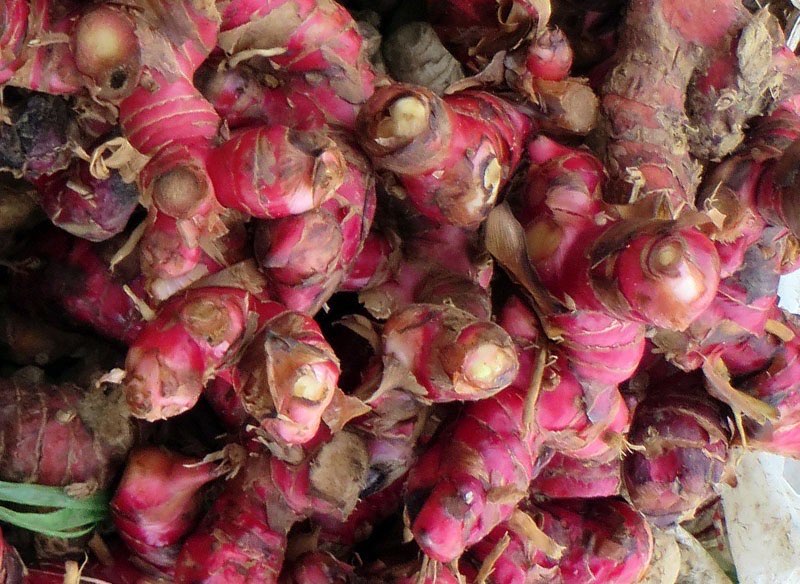 Jual Jahe Merah