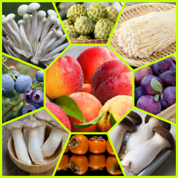 Menjual berbagai jenis buah, lokal maupun import
