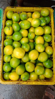 lemon california