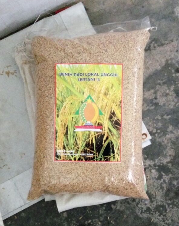 Benih Padi Setani 13