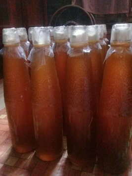 Madu Alsi Murni dari Kawasan Hutan Palopo Luwu