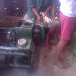 Peruncing Tusuk Sate Roll Serut 