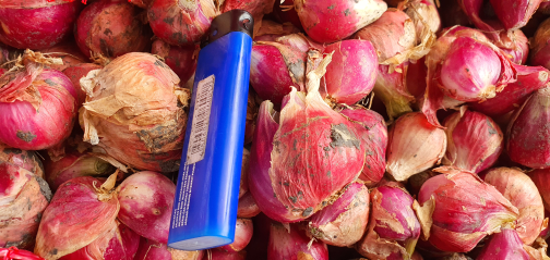 bawang merah