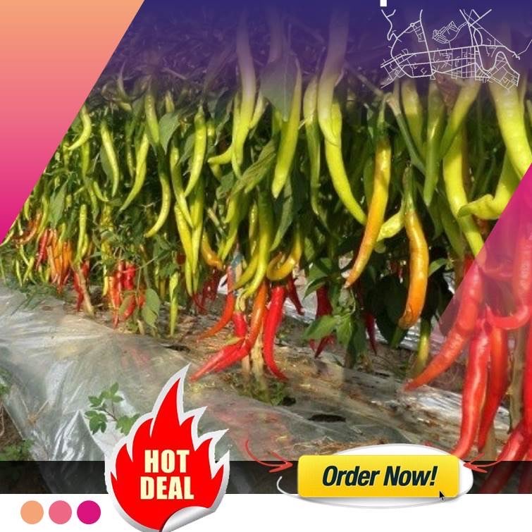 Plastik Mulsa Hitam Perak Berbagai Merk
