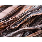 Ready Stock Vanilla Bean from PNG and Papua