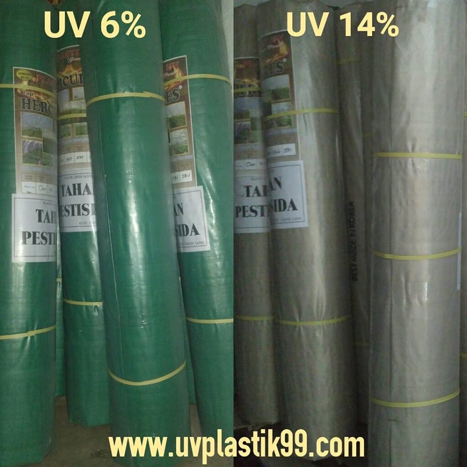 Plastik UV Hercules Lokal 