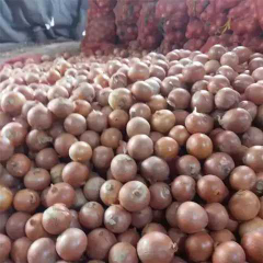 Bawang Bombay putih