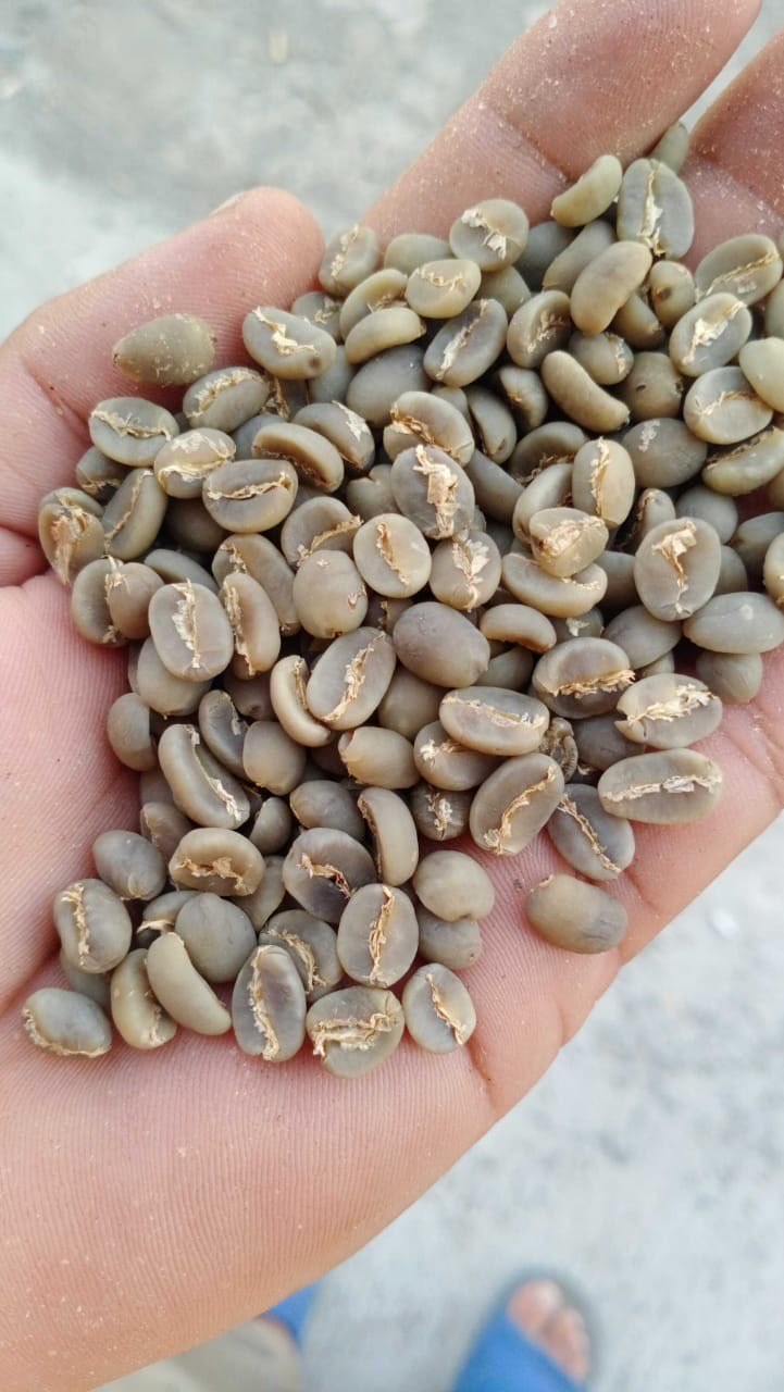 Bjih Kopi Arabica Ijen