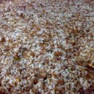 JUAL bibit kroto semut rang rang Sidoarjo