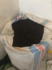 cengkeh Sulawesi Selatan