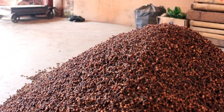 Jual Cengkeh Kering Maluku