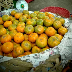 Jeruk Medan