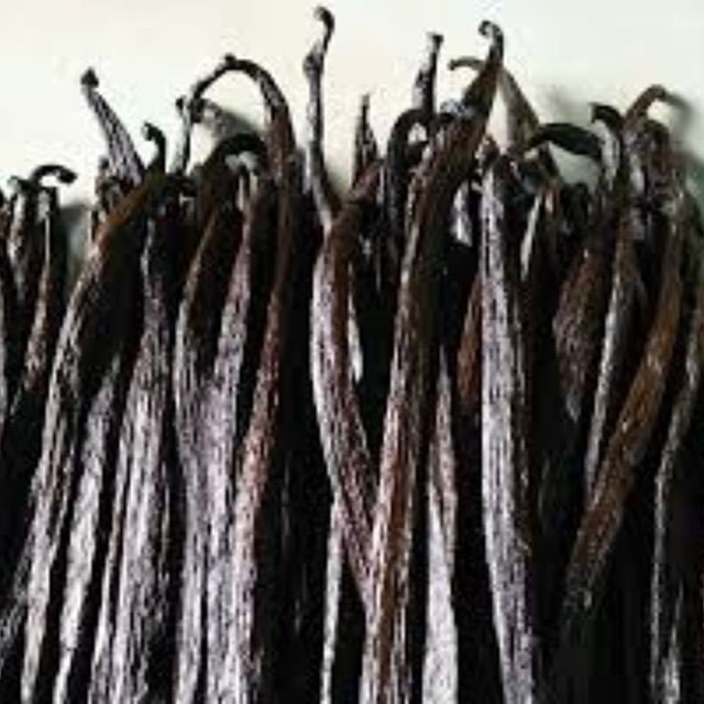 Distributor Vanilla Tahitian_Grade A