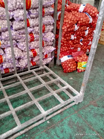 bawang putih