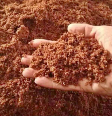 serbuk sabut kelapa / cocopeat