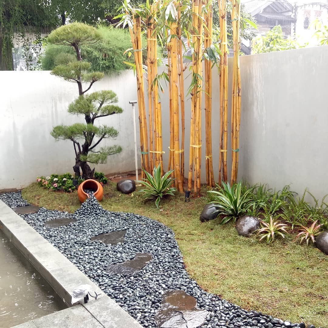 jasa pasang taman