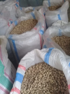 jual kapulaga lumajang