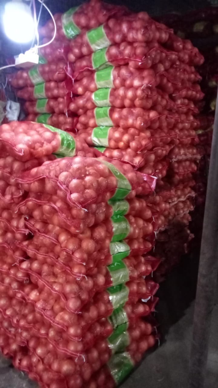Bombay Besar / Kecil karungan