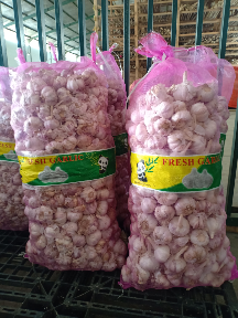 Bawang putih
