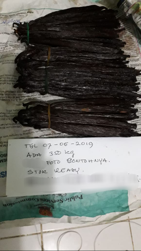 Vanili Papua kualitas Expor