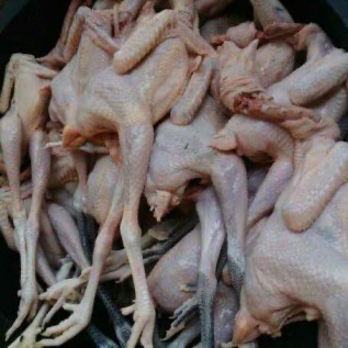 KARKAS AYAM KAMPUNG SUPER MURAH