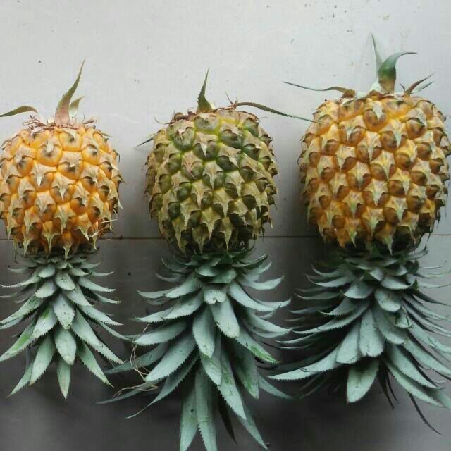 Nanas