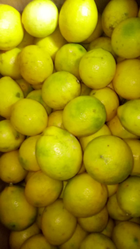 lemon california