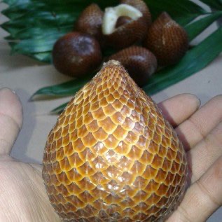 salak madu