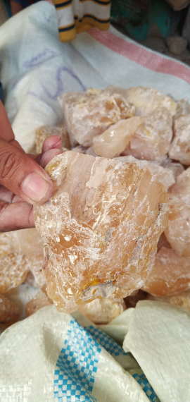 gum copal