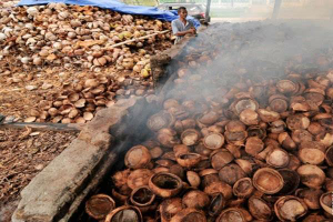 Jual kopra murah