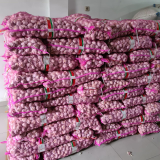 bawang putih import cina